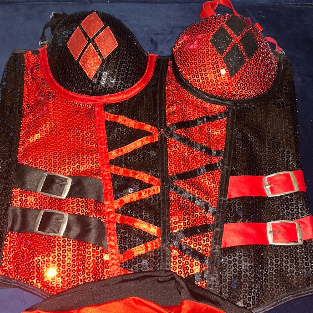 DC HARLEY QUINN women’s Halloween costume